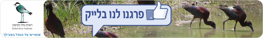 baner-facebook
