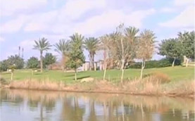 ציפור ועץ, רשות נחל הקישון