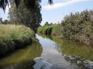 מים זורמים, רשות נחל הקישון