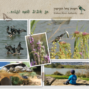 kishon river authority, רשות נחל הקישון