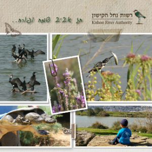 kishon river authority, רשות נחל הקישון