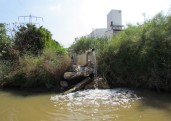 דשנים וחומרים כימיים, רשות נחל הקישון