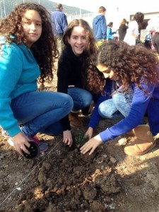 משקמים את גדת הנחל, רשות נחל הקישון