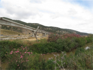 ניטור ביולוגי, רשות נחל הקישון