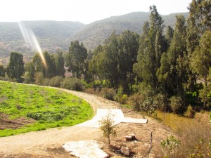פארק העמקים, רשות נחל הקישון