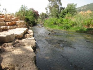 מופע מים, רשות נחל הקישון