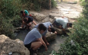 שחרירי נחלים, רשות נחל הקישון