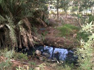 תעלת הניקוז בנחל סעדיה, נחל קישון