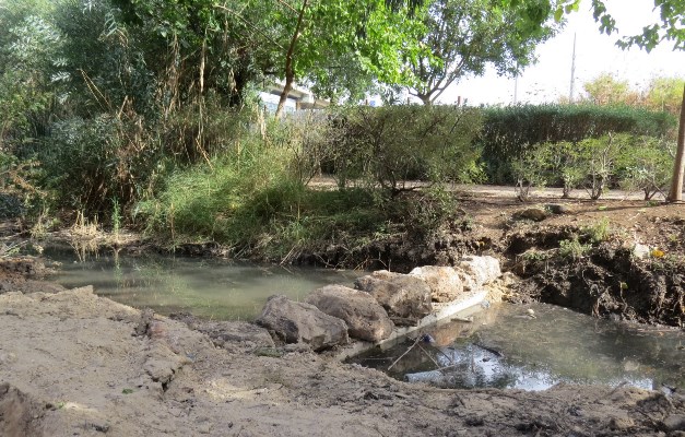 תעלת הניקוז בנחל סעדיה אחרי העבודות (צילום: יונתן שביט, רשות נחל הקישון)