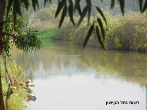 נוף, רשות נחל הקישון