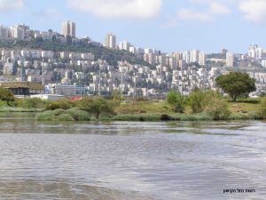 נוף לעיר, רשות נחל הקישון
