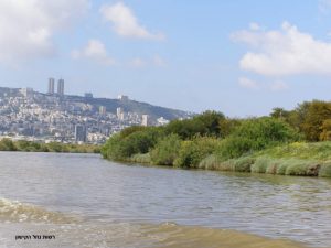 נוף לעיר, רשות נחל הקישון