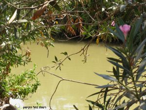 נוף, רשות נחל הקישון