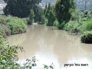 נוף, רשות נחל הקישון
