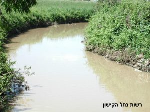 נוף, רשות נחל הקישון