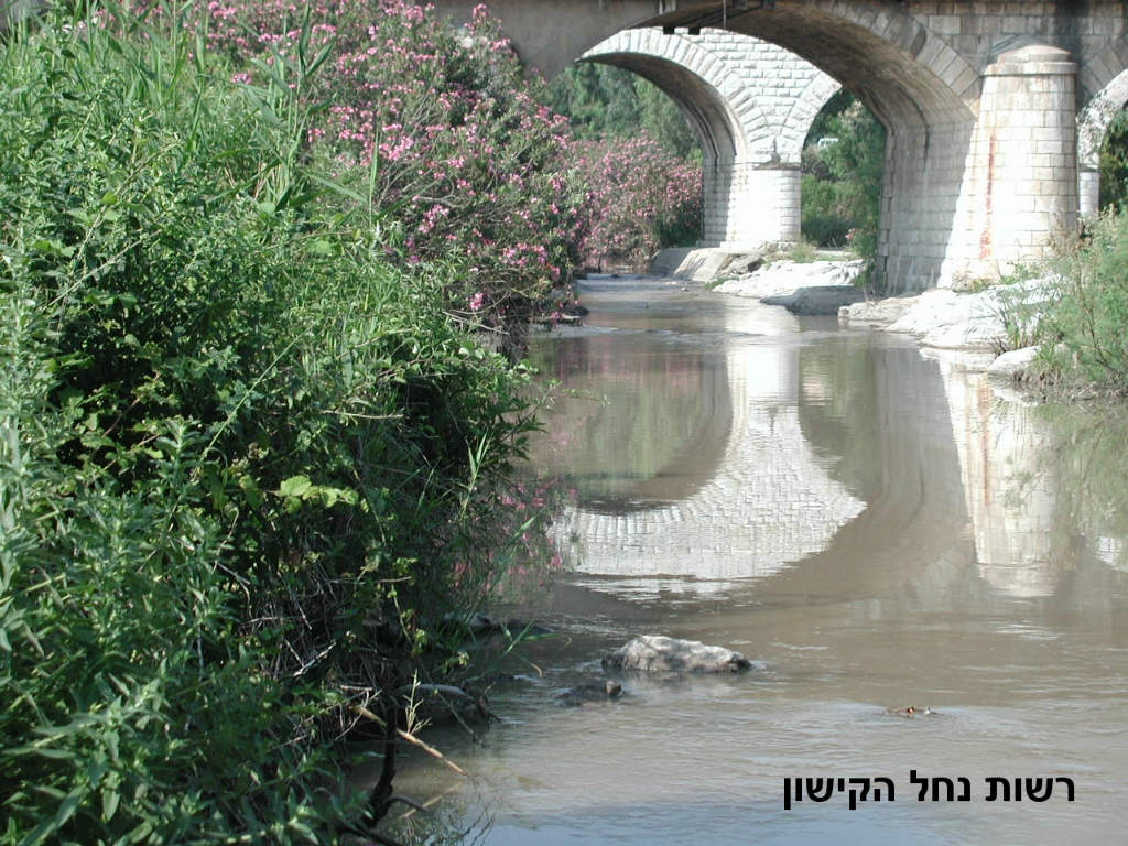 נוף, רשות נחל הקישון, גשר