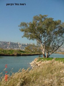 רשות נחל הקישון, החיים בנחל