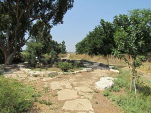 פארקים, רשות נחל הקישון