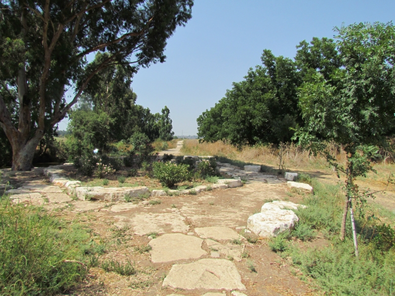 פארקים, רשות נחל הקישון