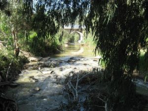 פארקים, רשות נחל הקישון, נוף לעיר
