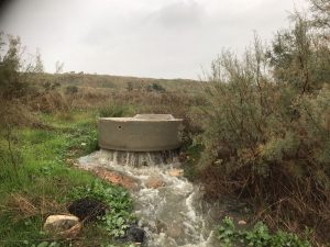 הודעה לתקשורת זיהום נחל סעדיה, קישון
