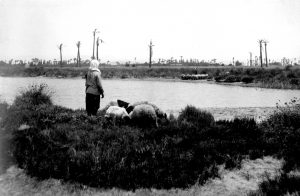 רועה ערבי ליד הקישון חיפה מפרץ חיפה 1926, צילום אסף רפאל סלוס, קרדיט: ארכיון אוניברסיטת חיפה