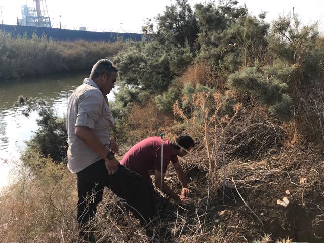 רשות נחל הקישון, מציאת 2 קנים של צב רך
