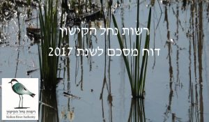 רשות נחל הקישון עמוד שער דוח מסכם 2017