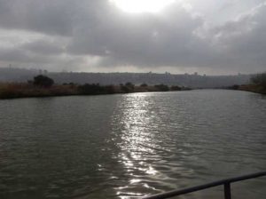 דוח ניטור הידרוביולוגי סתיו 2018