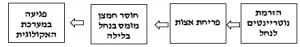 סכימת זרימה לריכוז החמצן המומס כסמן לאיכות מי הנחל