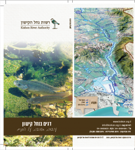 דגים בנחל קישון – עובדות חשובות על הדגים