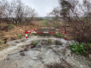 רשות נחל הקישון מדווחת על אירוע זיהום נחל סעדיה ונחל קישון מביוב