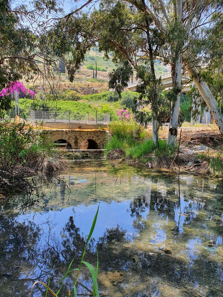 ניטור נחל סעדיה