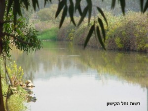 nofkishon04