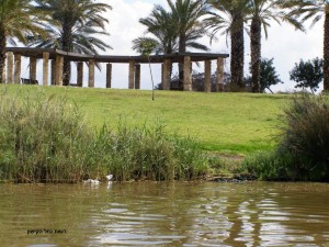 nofkishon13