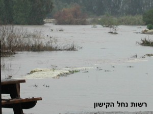 nofkishon14