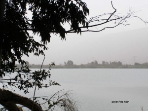 nofkishon15