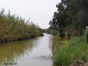 nofkishon26