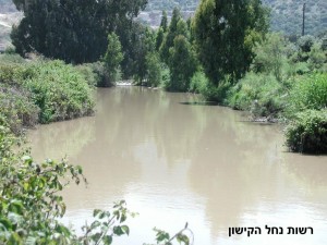 nofkishon29