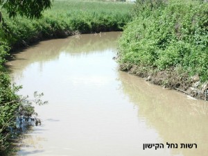 nofkishon30