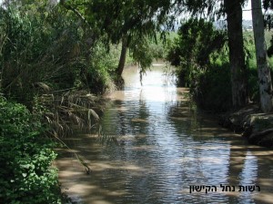 nofkishon31