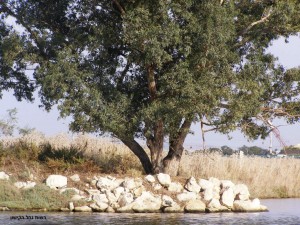 nofkishon36