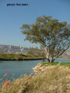 nofkishon37