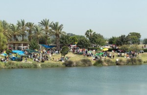 park01