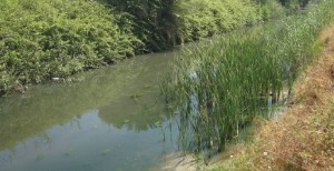 water08