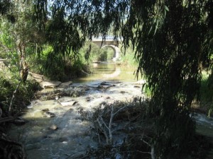water10