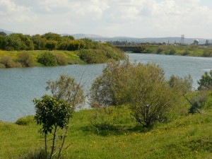 water12